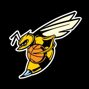 Stingers Basketball Club